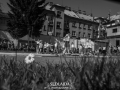 _DSC1549