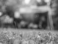 _DSC2292