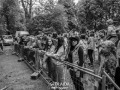 _DSC2334