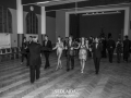 _DSC3393