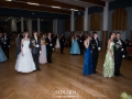 _DSC3513