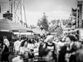 _DSC2824