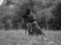 _DSC3000
