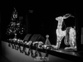 _DSC8823
