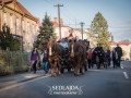 _DSC3736-Edit