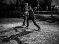 _DSC3977