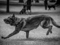 _DSC6370