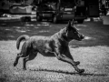 _DSC6420