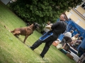 _DSC6474