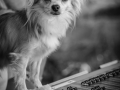 _DSC7861
