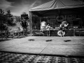 _DSC7884