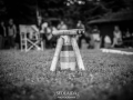 _DSC5798