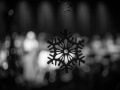 20191129210451184