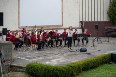 MIC_6584