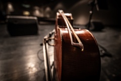 MIC_7289