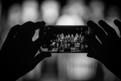 MIC_8435