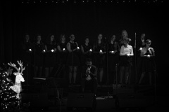MIC_8660