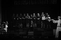 MIC_8674