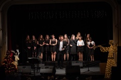 MIC_8684