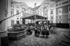 MIC_3060