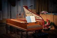 MIC_6504