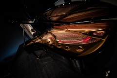 MIC_9784