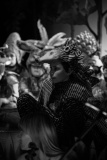DSC2963