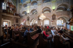 MIC_4595