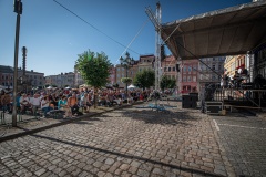 MIC_7154