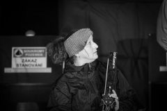 DSC6167
