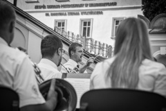MIC_7445