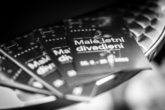 DSC8960