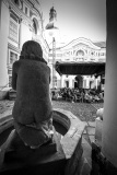 MIC_8867