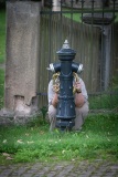 DSC2985