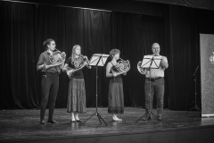 MIC_0212-2