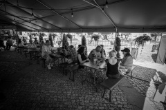 MIC_0949