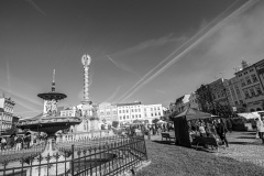 DSC7178