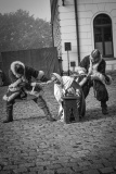 MIC_2531