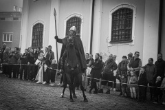MIC_2572-2
