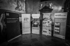 MIC_3393-2