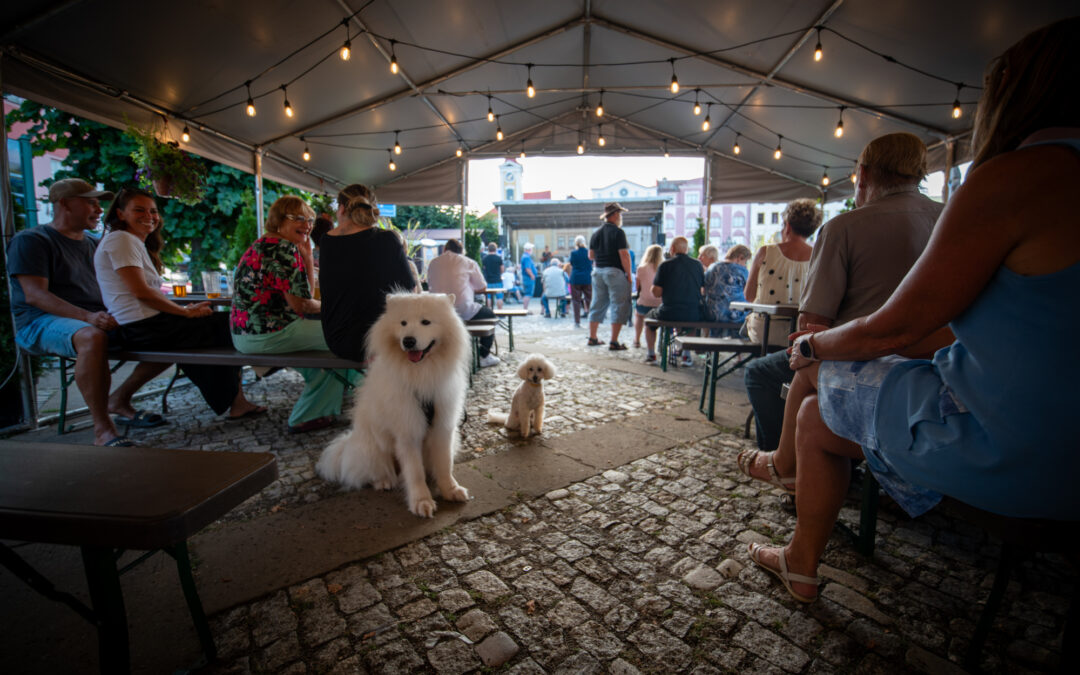 Regionální gastro festival